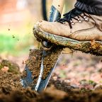 Man boot or shoe on spade prepare for digging. Farmer digs soil with shovel in garden, Agriculture concept autumn detail.